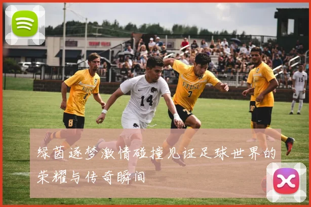绿茵逐梦激情碰撞见证足球世界的荣耀与传奇瞬间